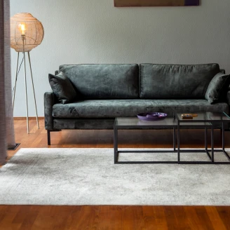 Dutchbone Tæppe 200x300 cm Rugged Beige