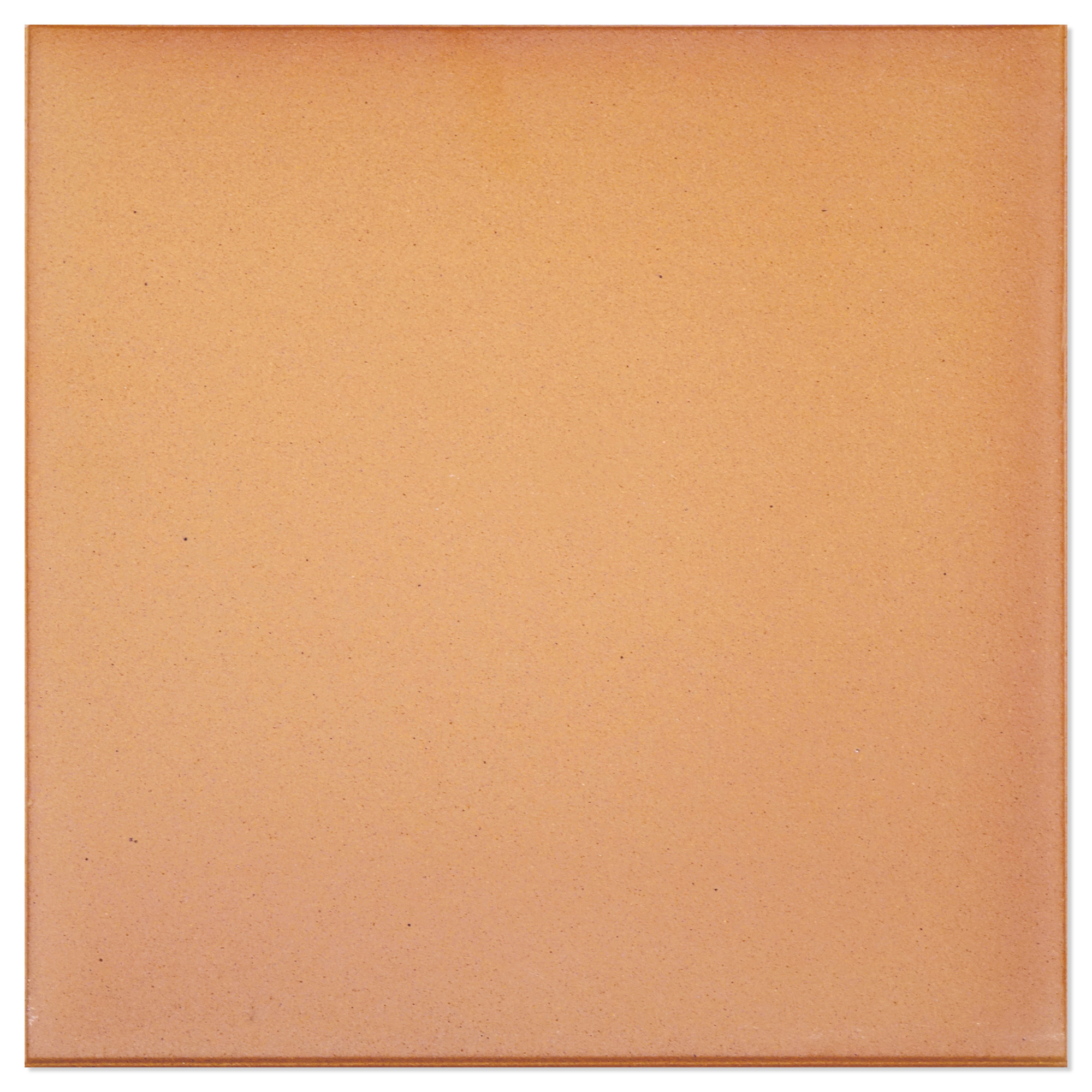 Skånsk Natural Terracotta Klinker Orange Matt 25x25 cm