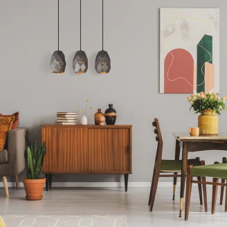 Hængende Lampe Renolia Trio Grafit Mat
