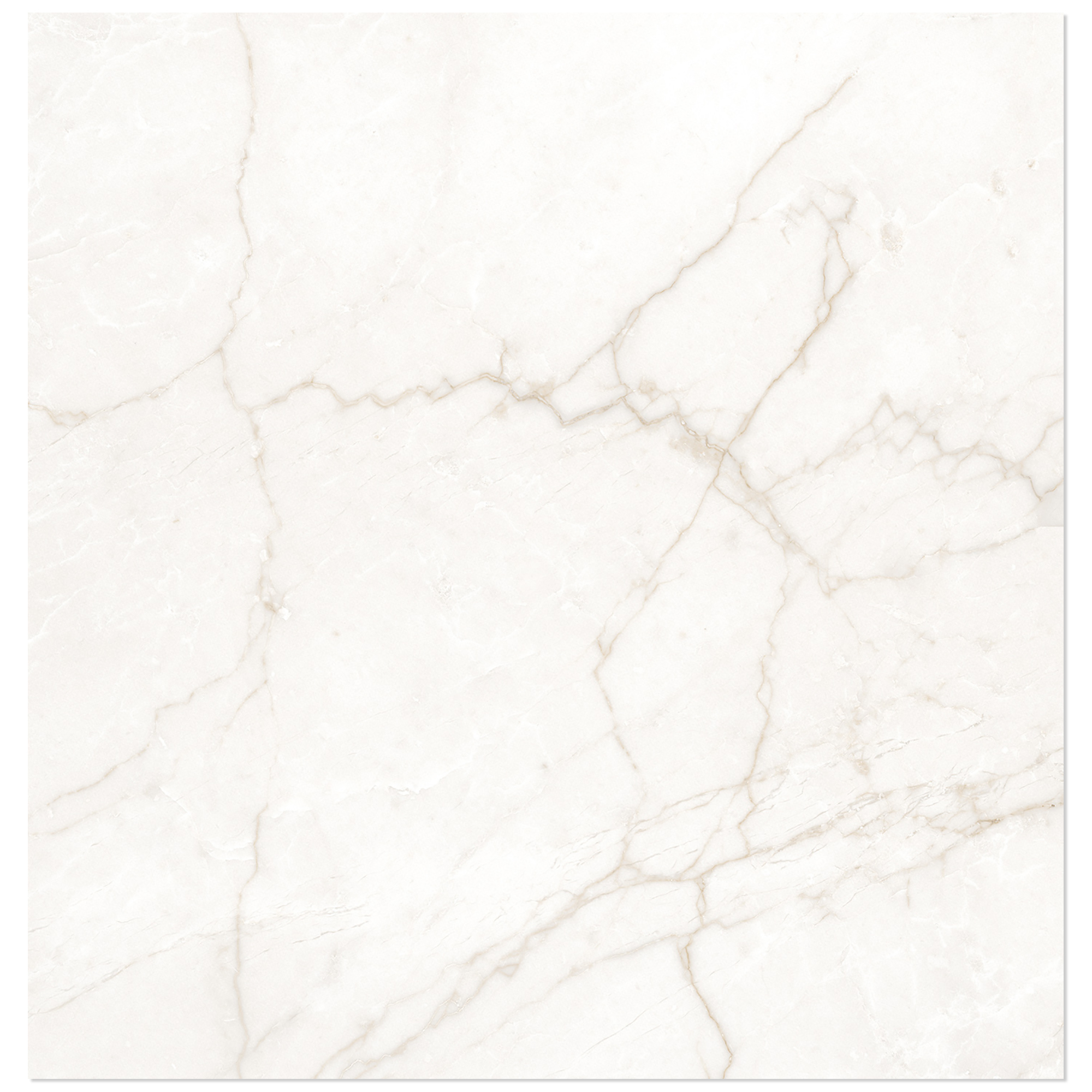 Marmor Klinker Venata Hvid-Guld Mat 60x60 cm