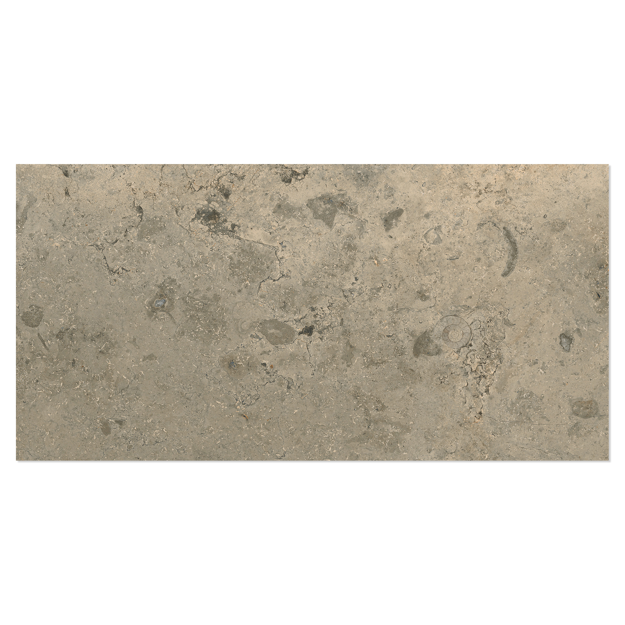Klinker Kalksten Fjäll Grå-Beige Mat-Struktur 3D 30x60 cm