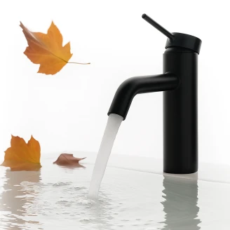 Håndvaskarmatur <strong>Carenza</strong>  Sort Mat