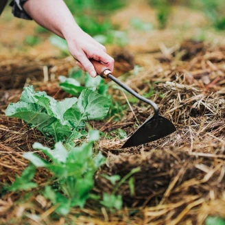 Barebones Trekants­hakke <strong>Wildhaven</strong>  Grøn Mint