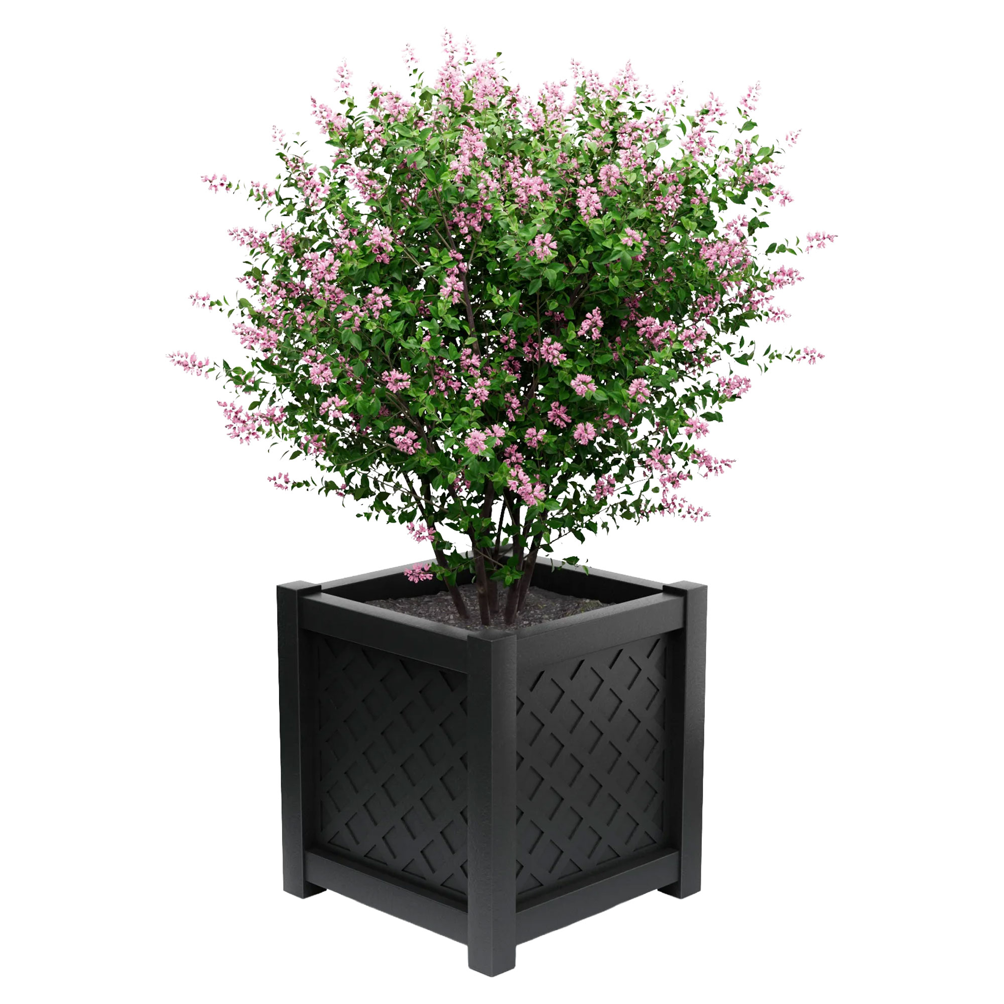 Udendørskrukke Metal Bloomsbury Sort 75 cm