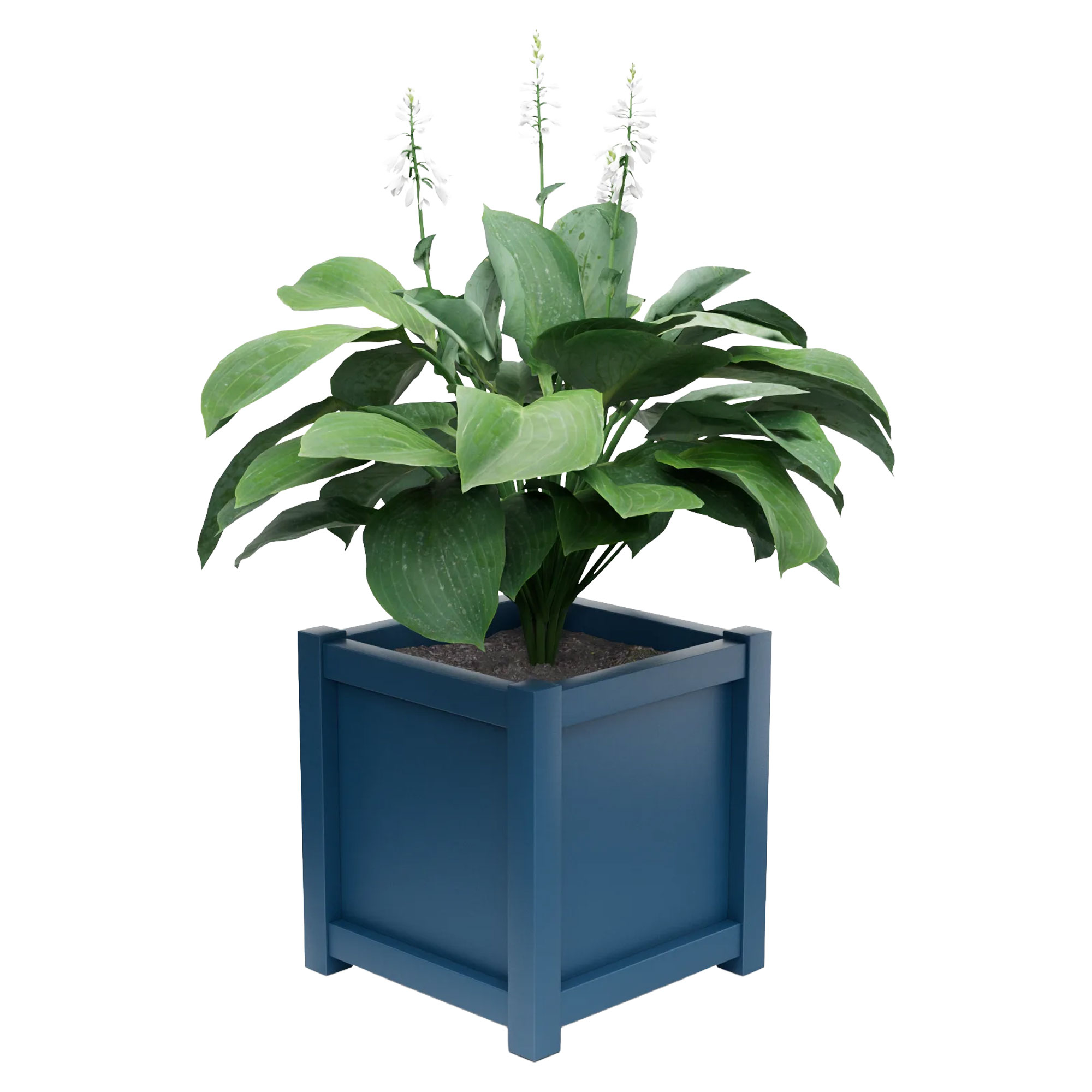 Udendørskrukke Metal Elmsford Azurblå 60 cm