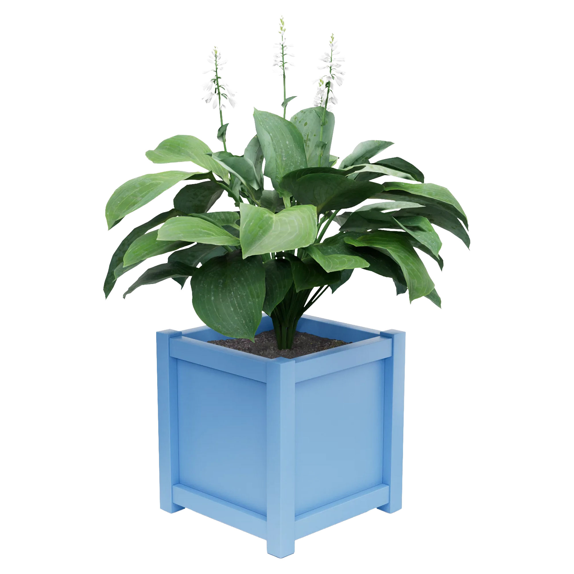 Udendørskrukke Metal Elmsford Pastelblå 60 cm