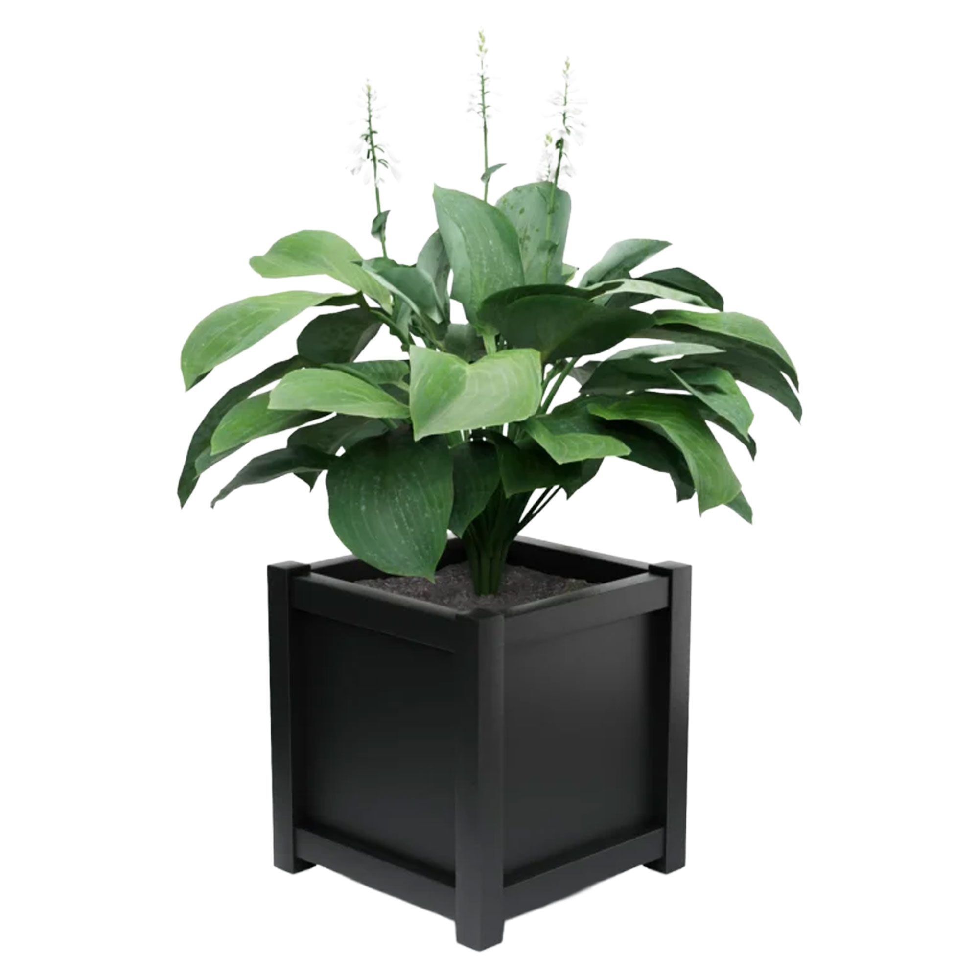 Udendørskrukke Metal Elmsford Sort 75 cm