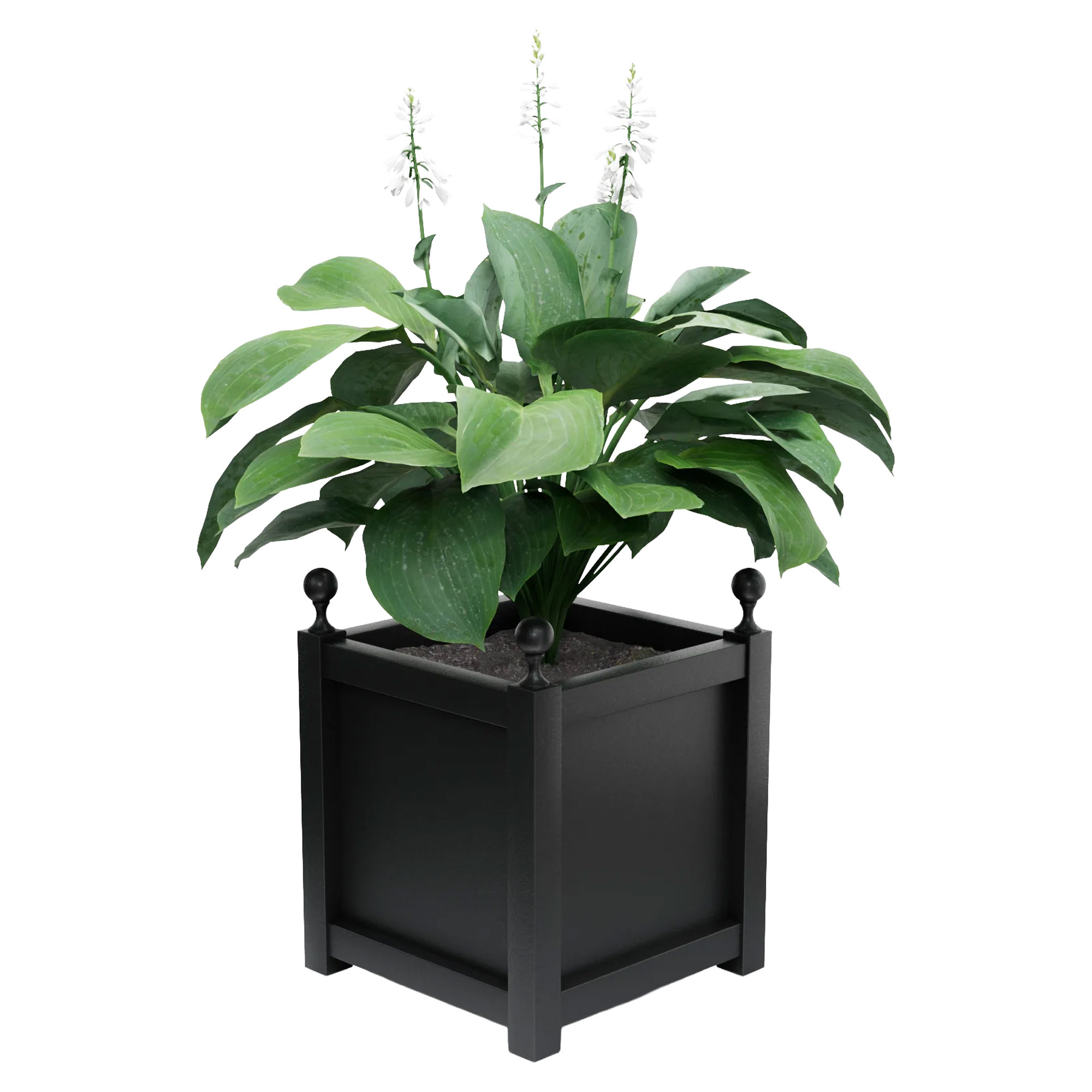 Udendørskrukke Metal Elmsford Sort 60 cm med Dekorative Kugler