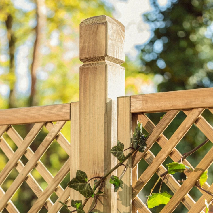 Stolpe med Dekorativ Top Fortis Træ 7x7x210 cm