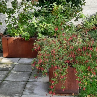 Plantekasse Arbori Cortenstål 100x40x40 cm