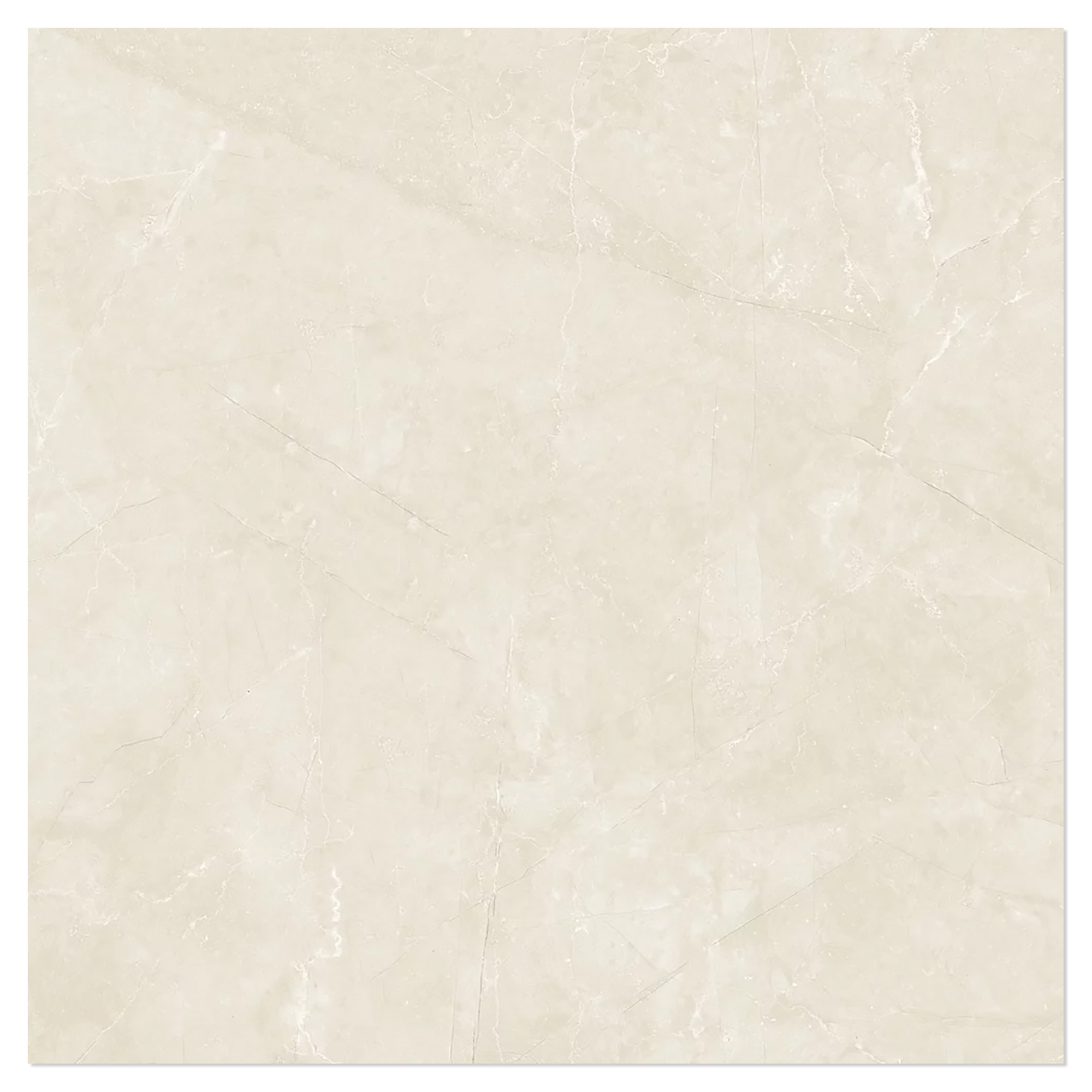 Marmor Klinker Miran Elfenben Mat 100x100 cm