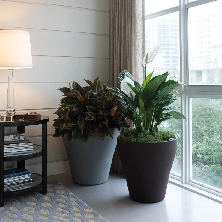 Selvvandende Krukke med Indikator Tesso Sort Ø 45 cm