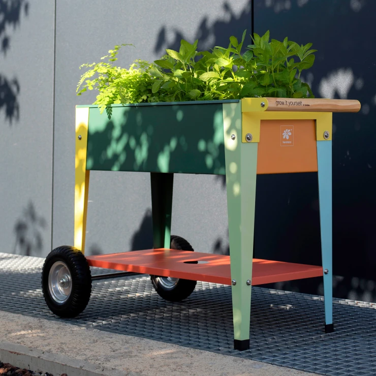 Herstera Rullebord til børn Emoire Flerfarvet