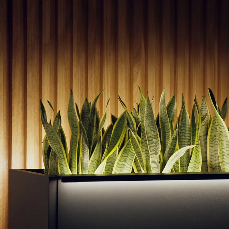 Herstera Lysstøtte til Udekrukke Union Antracit 100 cm