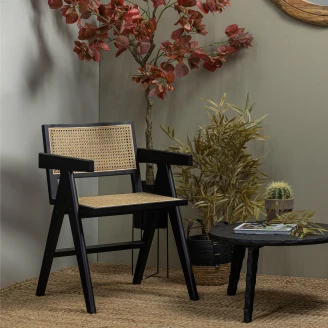 Woood Stol med Armlæn <strong>Gunn</strong>  Sort, Beige