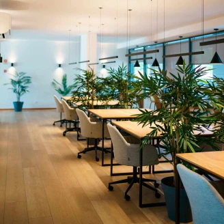 Dune Vinylgulv SPC <strong>Roble Dune</strong>  Honning 22.8x184 cm