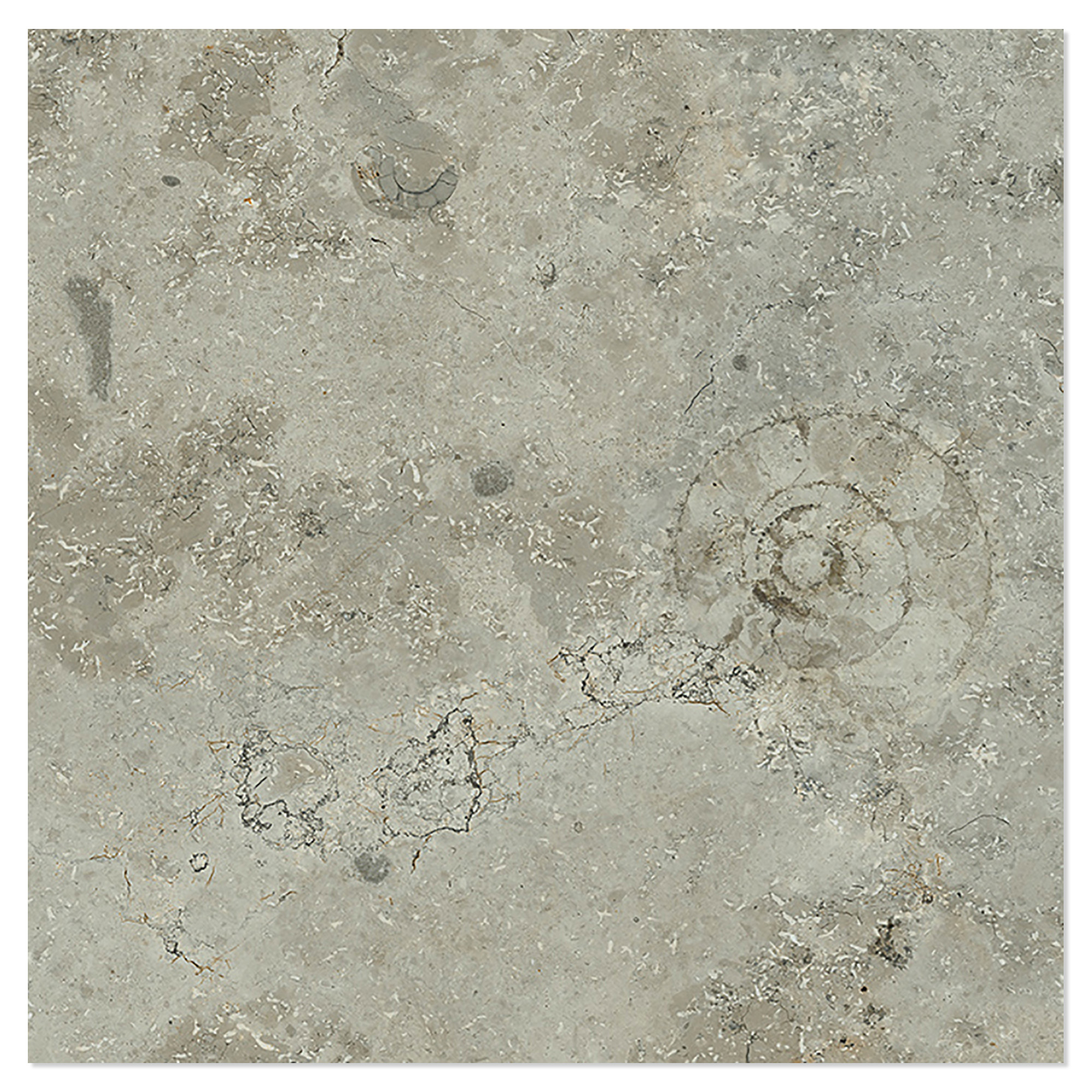 Klinker Kalksten Fjäll Lys Brun Mat-Struktur 3D 30x30 cm