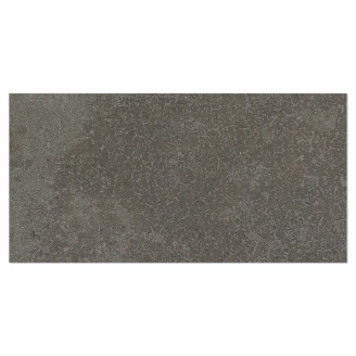 Klinker <strong>Slottssten</strong>  Grå Mat 30x60 cm