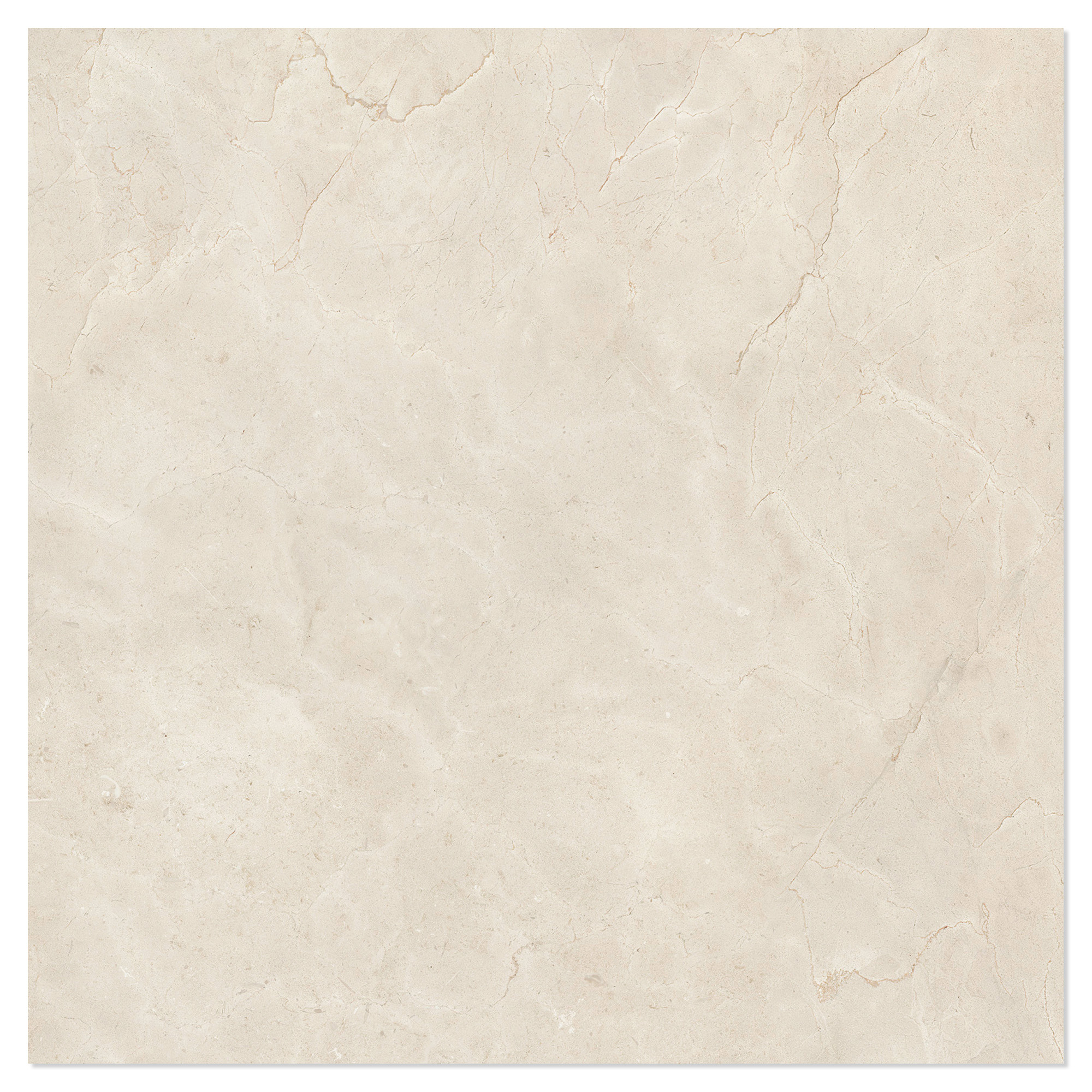 Marmor Klinker Ecru Beige Mat 120x120 cm