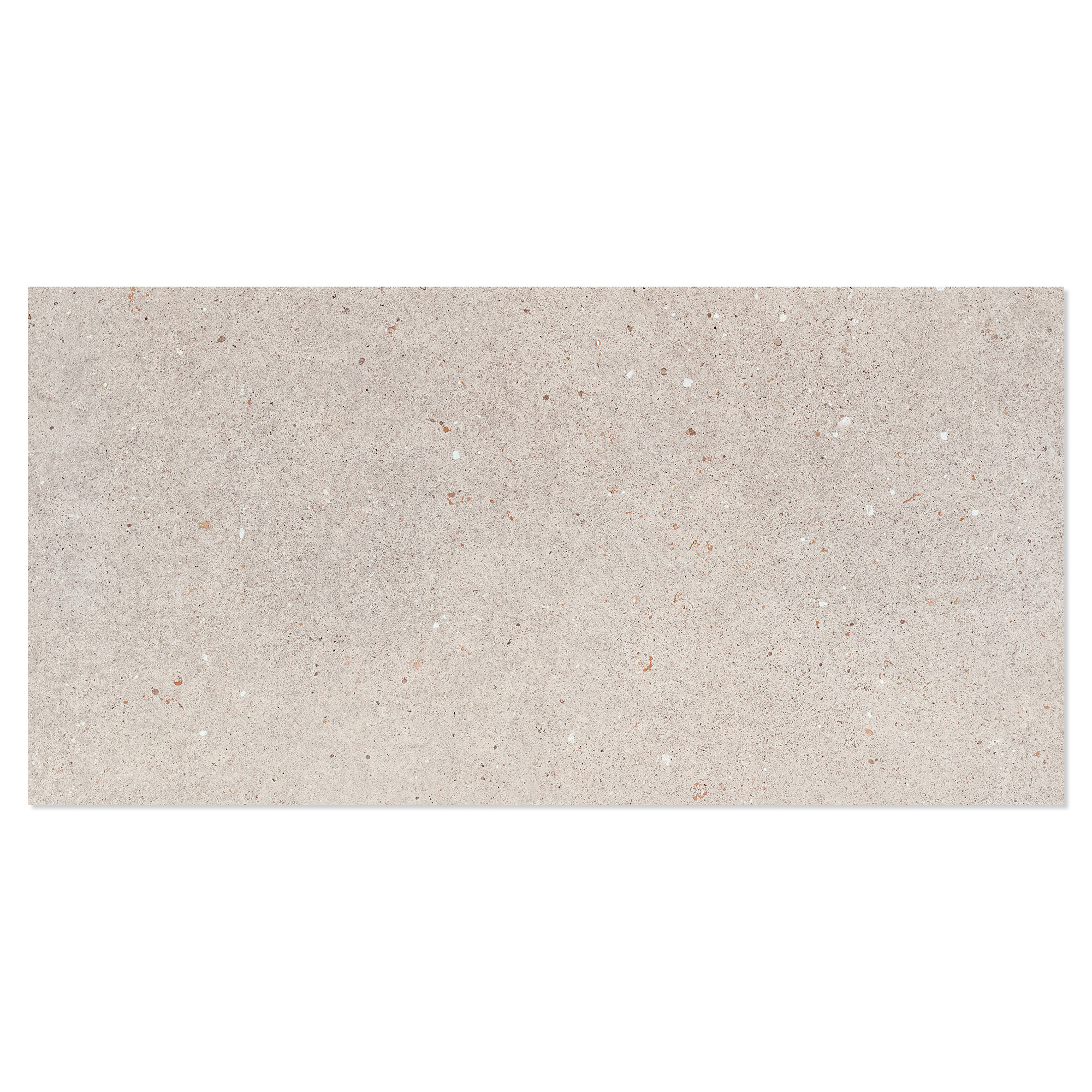 Udendørs Klinker Alvar Taupe Mat 60x120 cm Tykkelse 20 mm