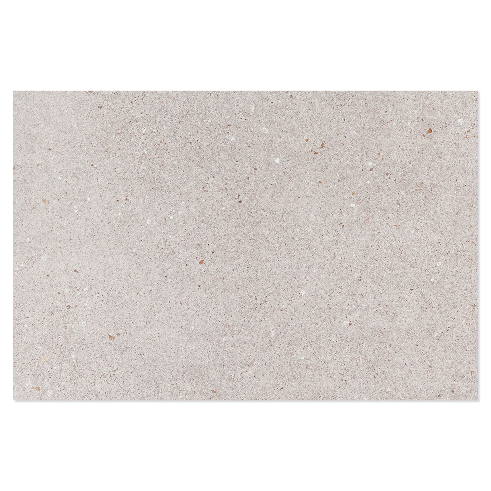 Udendørs Klinker Alvar Lysegrå Mat 60x90 cm Tykkelse 20 mm