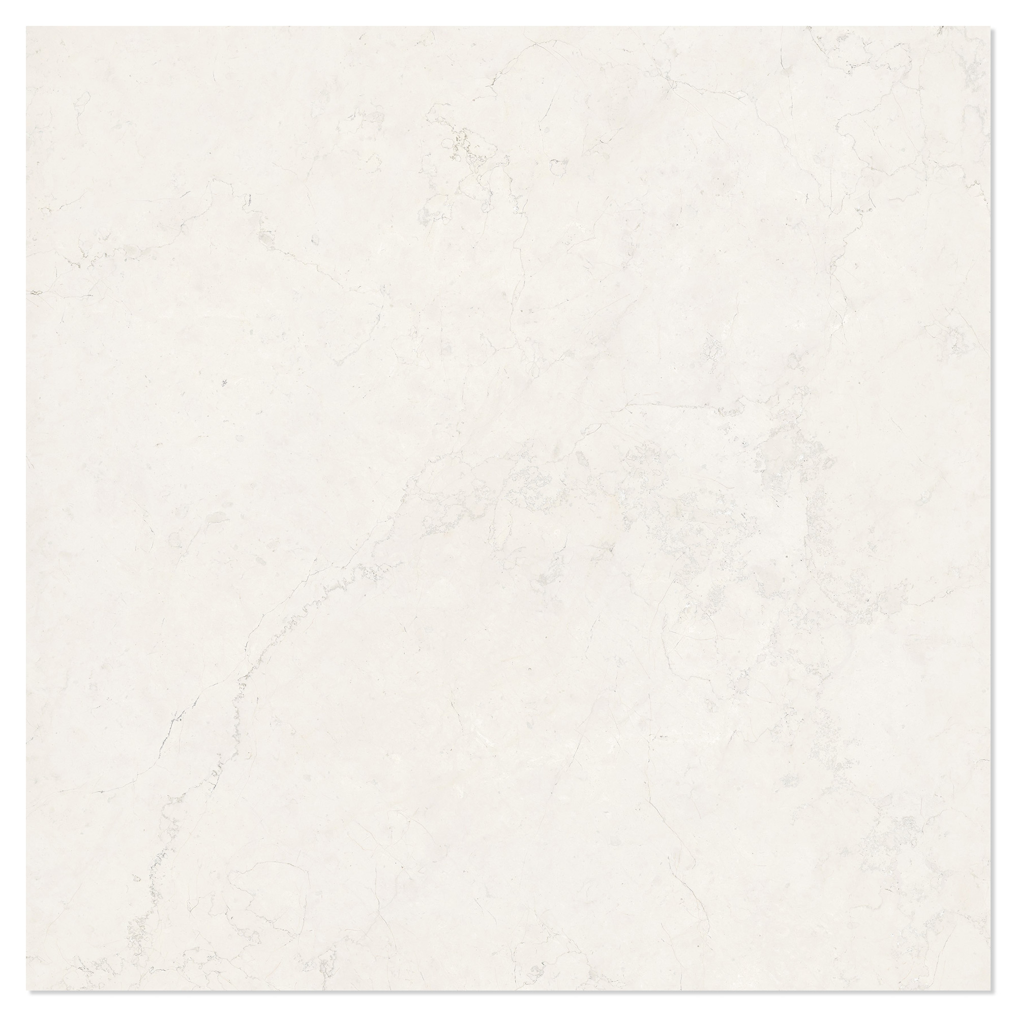 Marmor Klinker Alabia Hvid Poleret 120x120 cm