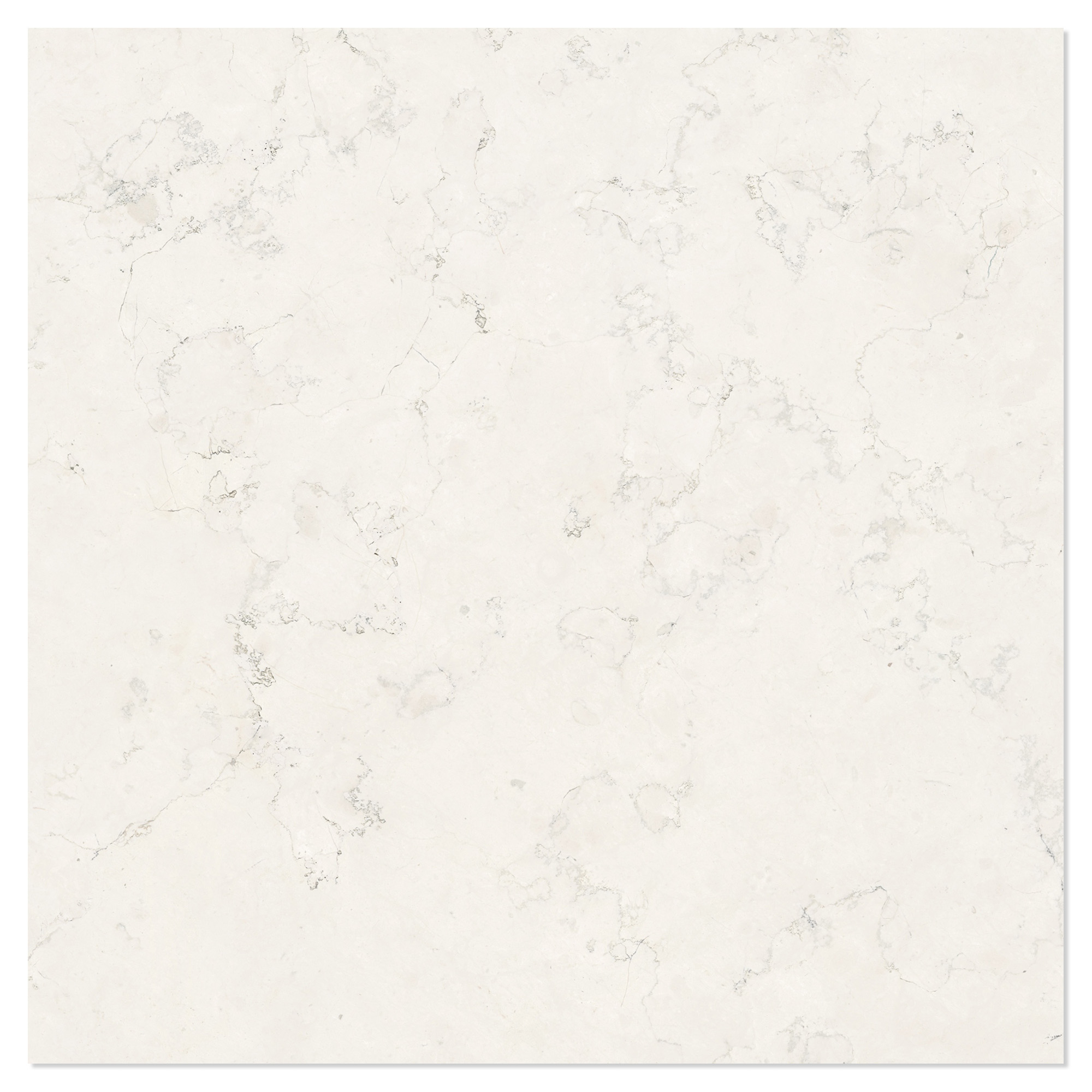 Marmor Klinker Alabia Hvid Poleret 60x60 cm