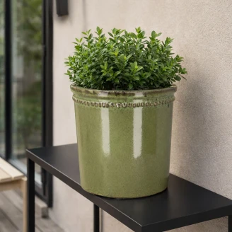 Krukke <strong>Regency</strong>  Grøn Ø 25 cm