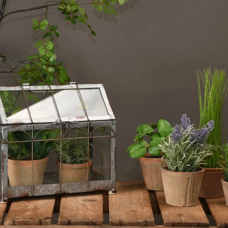 Drivhus M Orangeri Sølv, Sort