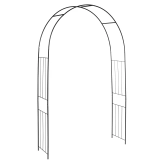 Rosenbue <strong>Evergreen</strong>  Sort