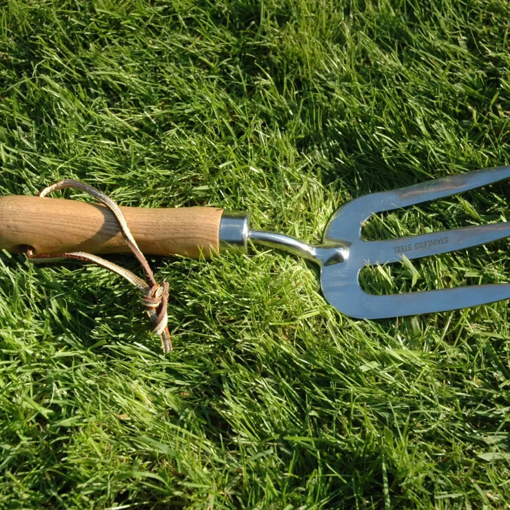 Grebgafler Coreline Træ, Rustfrit Stål