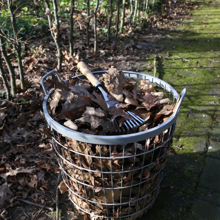 Håndløvrive Coreline Træ, Rustfrit Stål