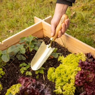 Spade <strong>Coreline</strong>  Guld, Rustfrit Stål