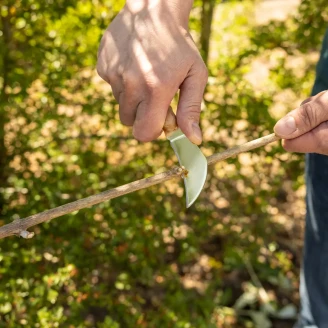 Beskæringskniv <strong>Coreline</strong>  Guld, Rustfrit Stål