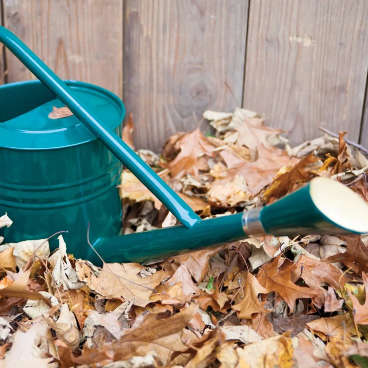 Vandkande 7,5 L Rivex Grøn, Grøn