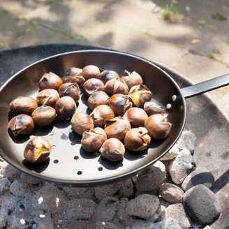 Kastanjepande <strong>Stelon</strong>  Sort