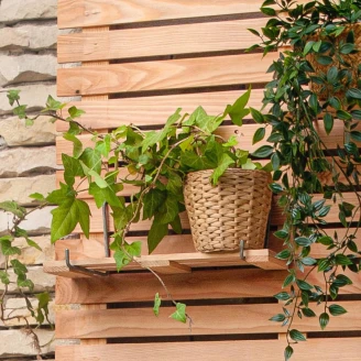 Hylde på Kroge <strong>Fenwick</strong>  Træ