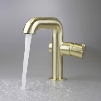 Håndvaskarmatur med Rektangulær Pibe <strong>Silia</strong>  Guld Mat