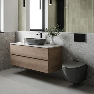 Væghængt toilet Colorelle Grå Mat
