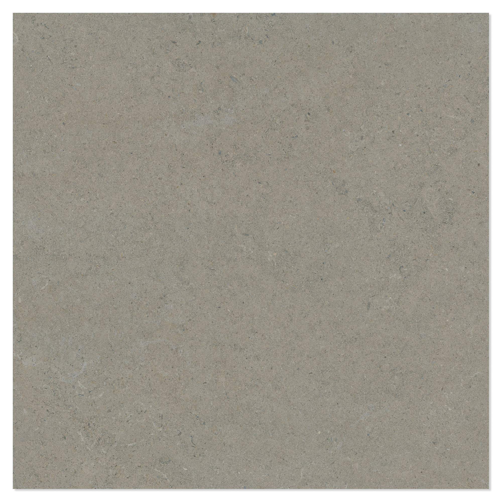 Klinker Litha Grå Beige Halvpoleret 120x120 cm