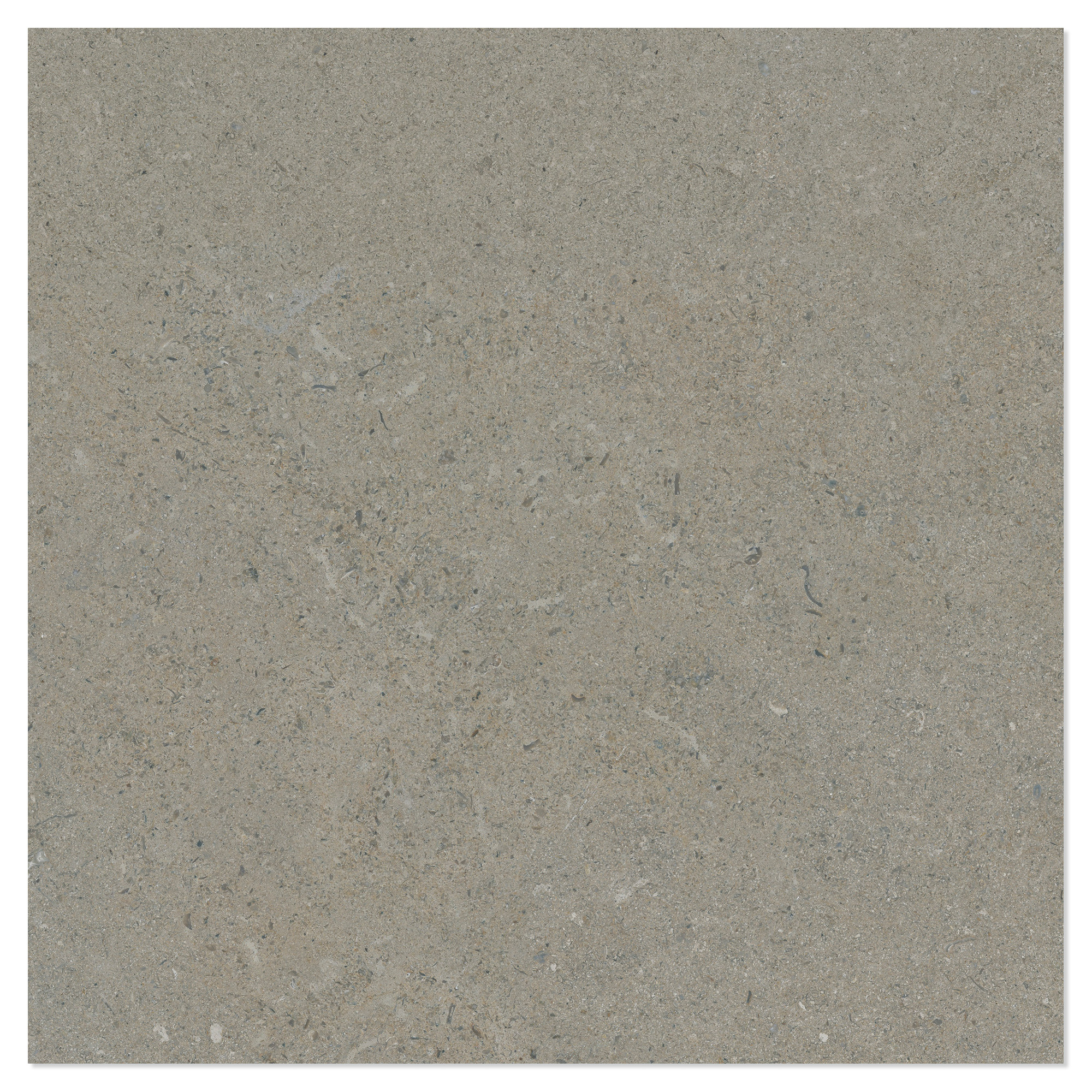 Klinker Litha Grå Beige Halvpoleret 60x60 cm