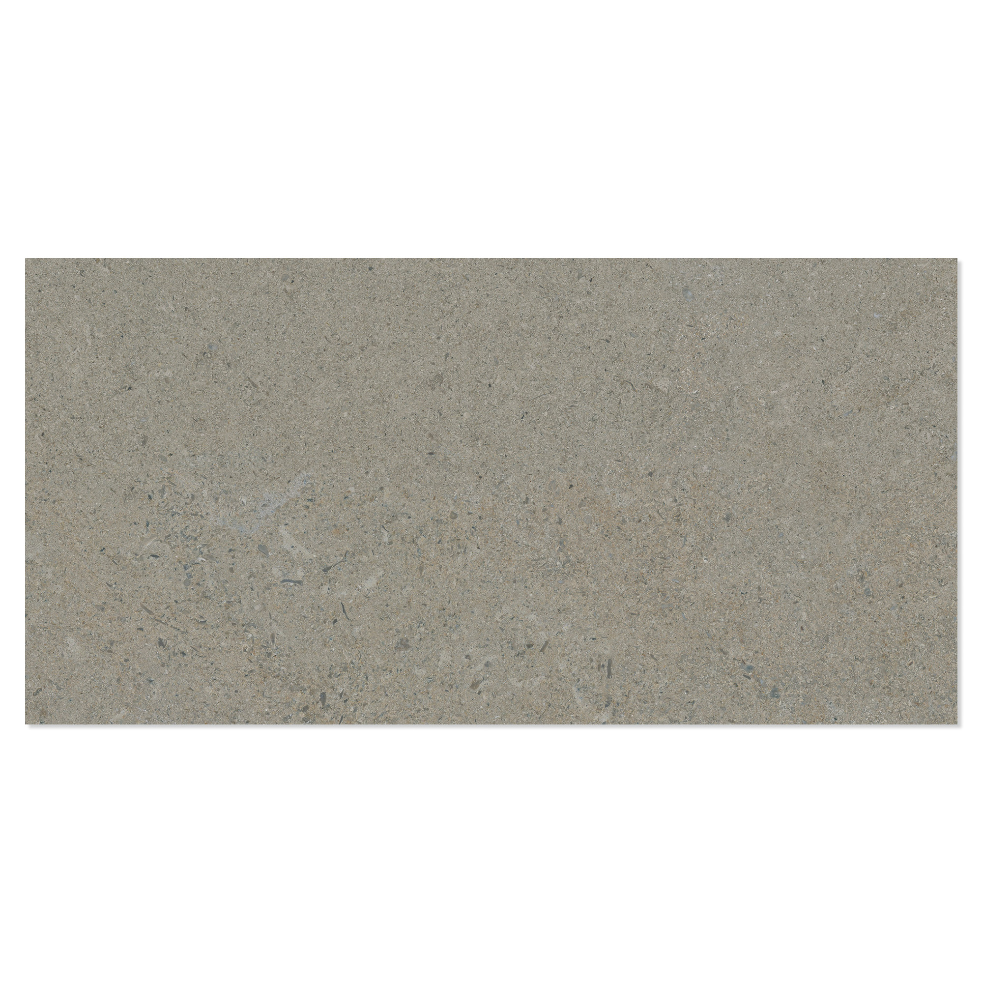 Klinker Litha Grå Beige Halvpoleret 30x60 cm