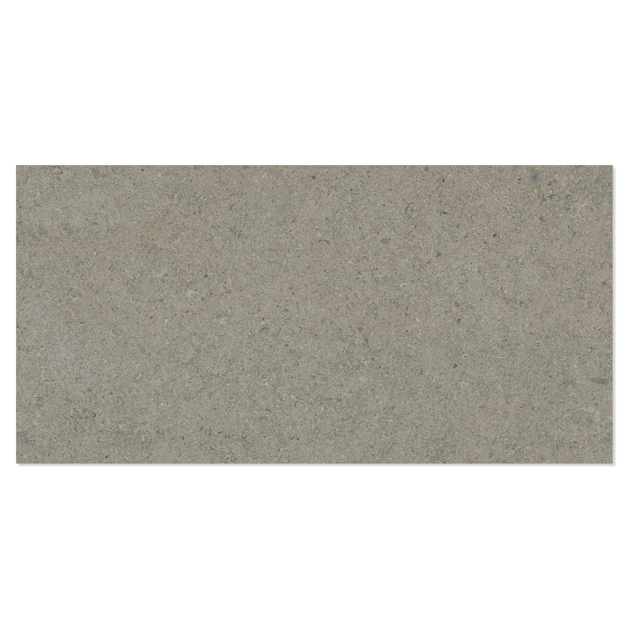 Klinker Litha Grå Beige Børstet Mat 30x60 cm