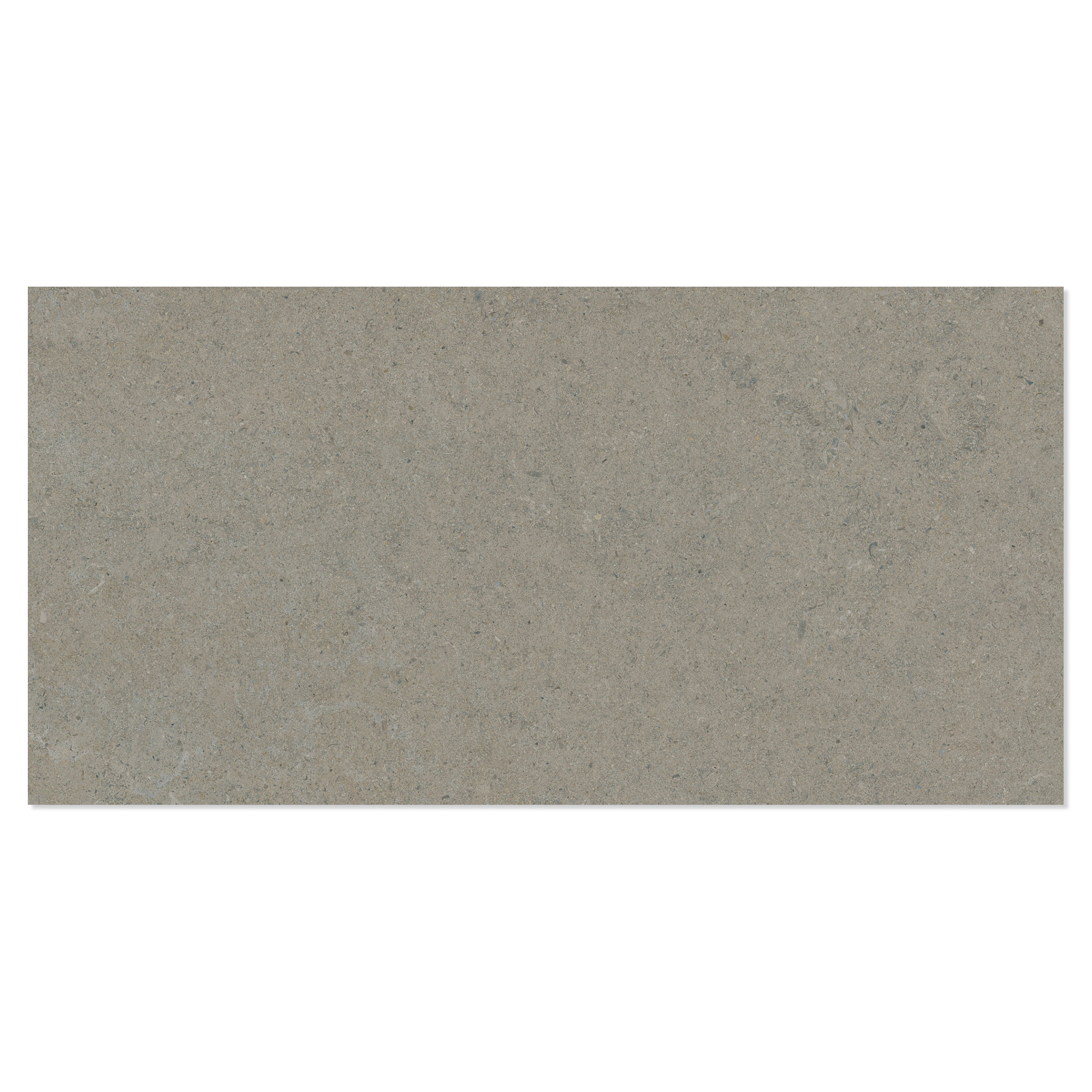 Klinker Litha Grå Beige Halvpoleret 60x120 cm