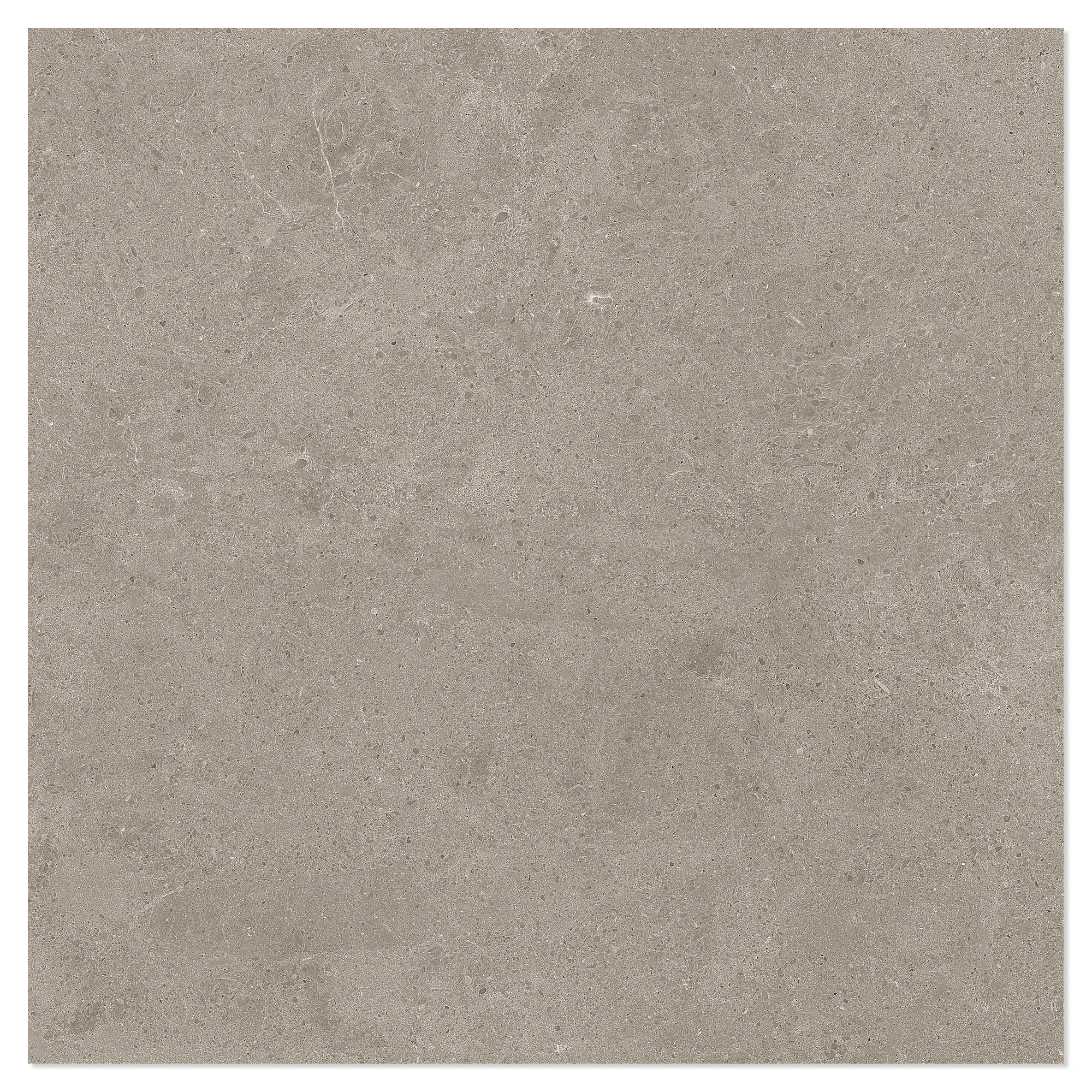Marmor Klinker Arento Lys Brun Mat 60x60 cm