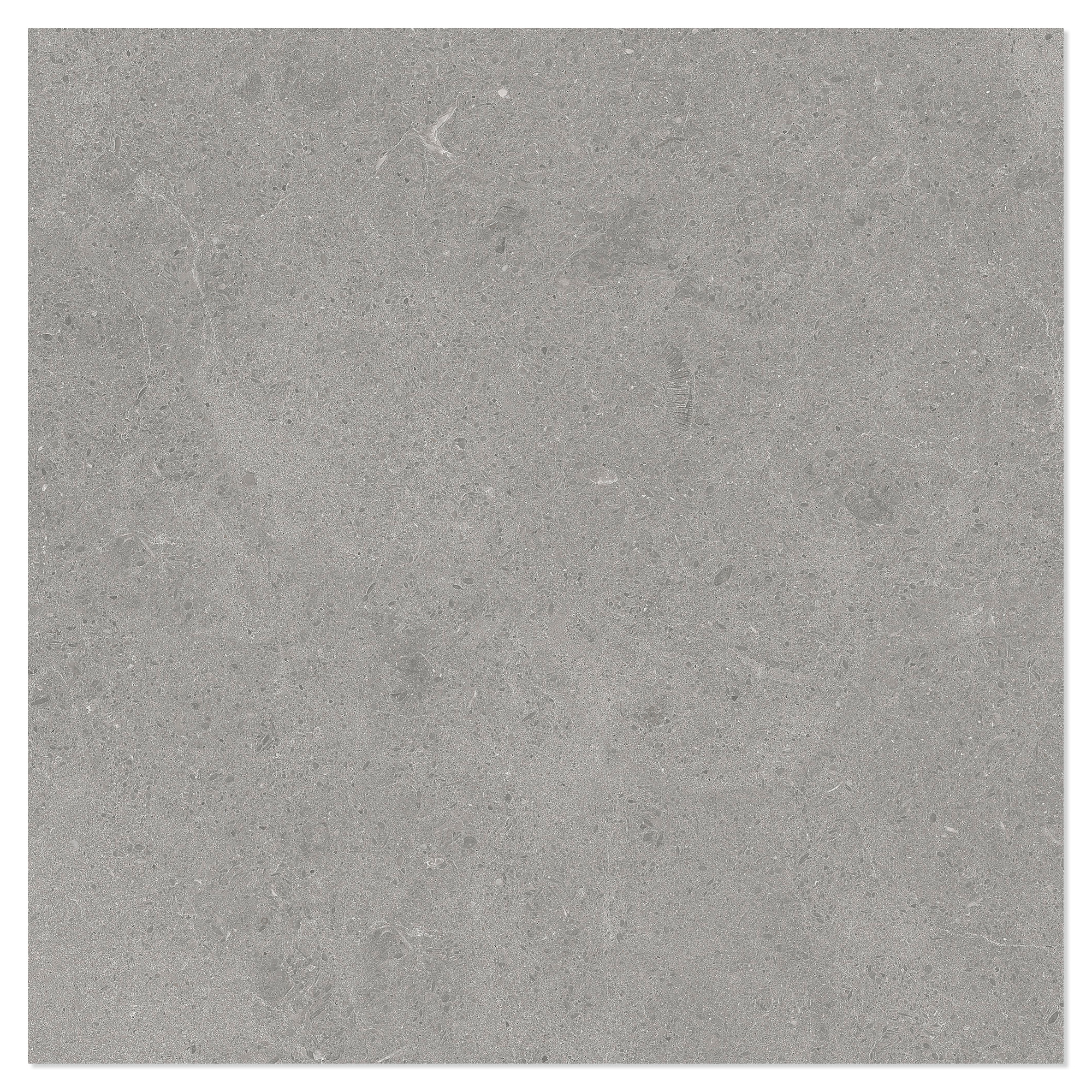 Marmor Klinker Arento Sølv Mat 60x60 cm