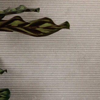 Vægflise <strong>Jura</strong>  Linned Mat-Relief 30x90 cm