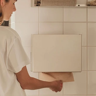 Dispenser til Papirhåndklæder Sommardopp 30 cm Krom