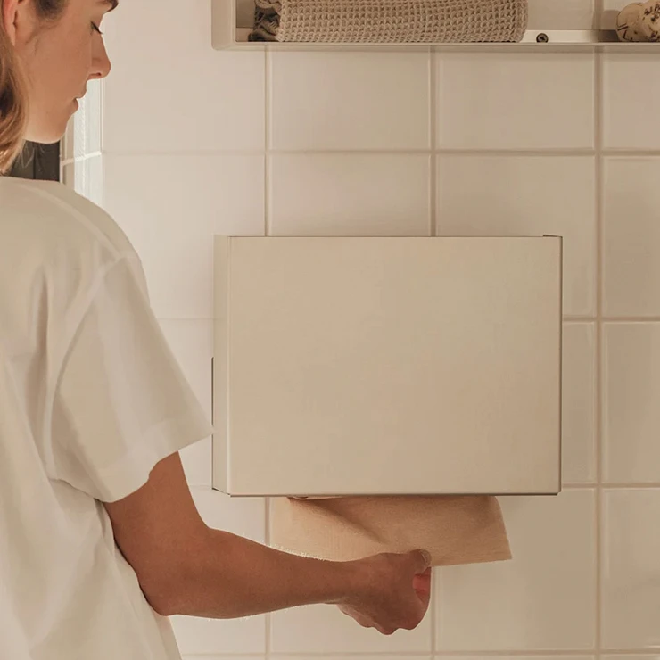 Dispenser til Papirhåndklæder Sommardopp 30 cm Krom