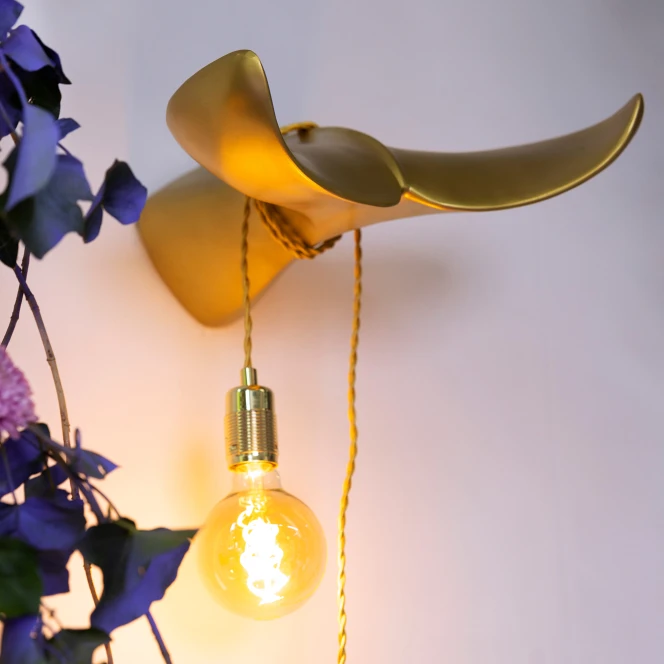 The Tail Will Follow